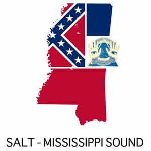Salt - Mississippi Sound FLAC