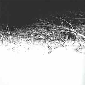 Jim O'Rourke - Steamroom 21 FLAC