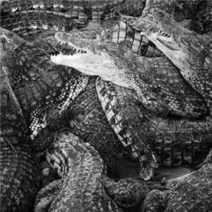 Emilie Levienaise-Farrouch - Like Water Through The Sand FLAC