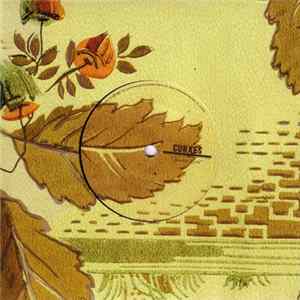 Curxes - Haunted Gold FLAC