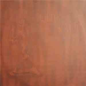 Black Oath - Portrait Of The Dead FLAC