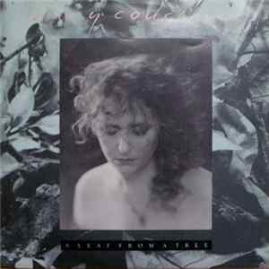 Mary Coughlan - A Leaf From A Tree FLAC