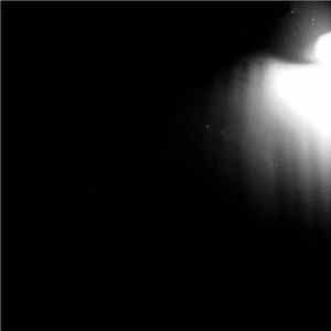 Coppice Halifax - Foresto FLAC