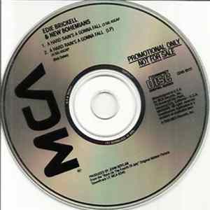 Edie Brickell & New Bohemians - A Hard Rain's A Gonna Fall FLAC