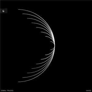 Zebra Tracks - Waves FLAC