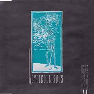 Kotiteollisuus - Routa Ei Lopu (On Ilmoja Pidelly) FLAC