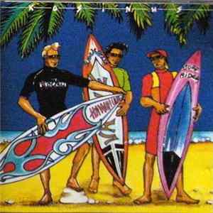 Various - Rock On The Beach FLAC