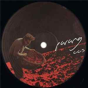 Tommy Vicari jnr - Passive Regression FLAC