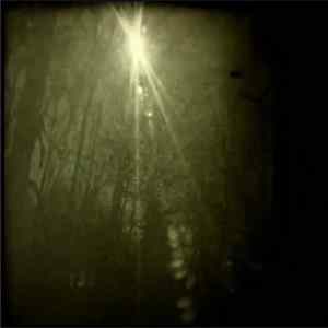 Louis Parrish - Light Comes Down FLAC