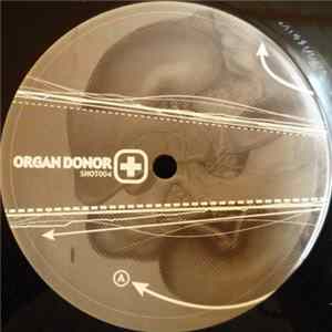 DJ Shadow / Manu Chao - Organ Donor / King Of The Bongos FLAC