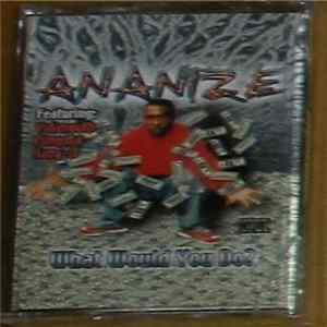 Ananize - What Would You Do? FLAC