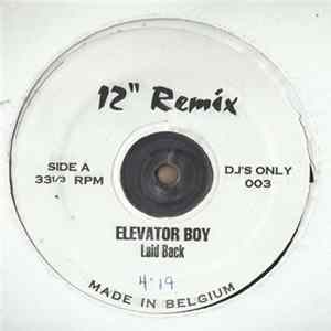 Various - 12'' Remix FLAC