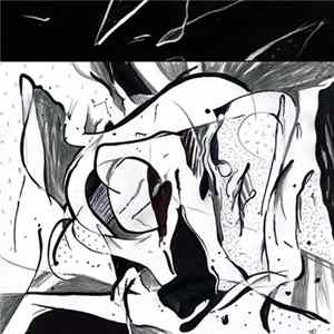 Naal Stayn - From Carnal To Vacuum FLAC