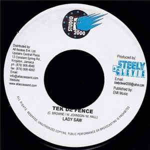 Lady Saw - Tek De Fence FLAC
