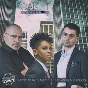 Micky More & Andy Tee Feat. Angela Johnson - Can I (Show You Real Love) FLAC