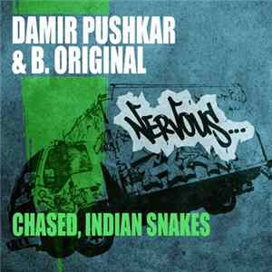 Damir Pushkar & B.Original - Chased / Indian Snake FLAC