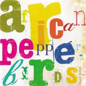 African Pepperbirds - Cape Point FLAC
