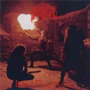 Immortal - Diabolical Fullmoon Mysticism FLAC