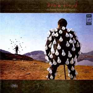 Pink Floyd - Delicate Sound Of Thunder FLAC