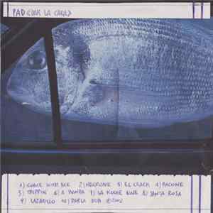 pAd - Dar La Cara FLAC