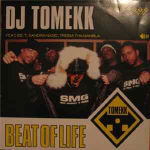 DJ Tomekk feat. Ice-T, Sandra Nasic & Trigga Tha Gambla - Beat Of Life FLAC
