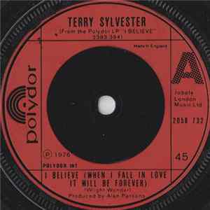 Terry Sylvester - I Believe (When I Fall In Love It Will Be Forever) FLAC