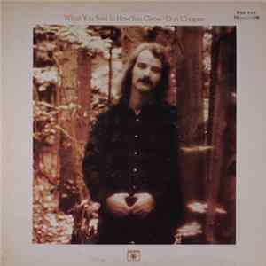 Don Cooper - What You Feel Is How You Grow FLAC