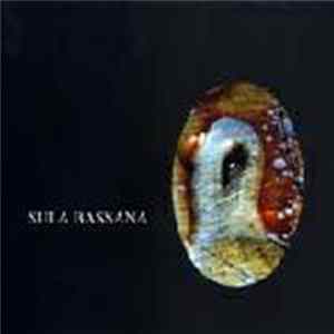 Sula Bassana - Dreamer FLAC