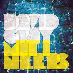 David Gray - Mutineers FLAC
