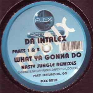 Da Intalex - What Ya Gonna Do (Nasty Jungle Remixes) FLAC