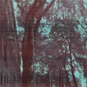 Ilir Lluka - The Quiet FLAC