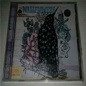 The Wallflowers - Rebel, Sweetheart FLAC