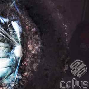 1nce Prodigal - Cofus FLAC