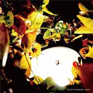 Seiichi Yamamoto - Palm FLAC
