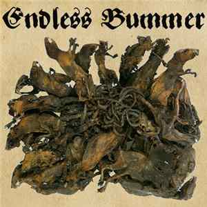 Endless Bummer - Fritzl FLAC