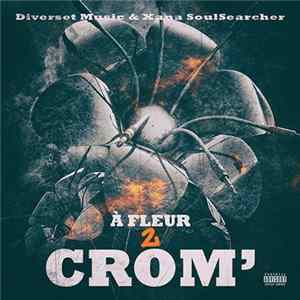 Diverset Music & Xana SoulSearcher - À Fleur 2 Crom' FLAC