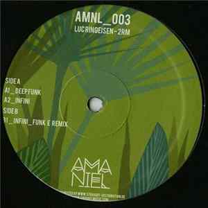 Luc Ringeisen - 2RM FLAC
