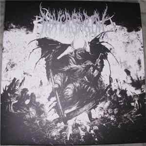 Adversarial - D.E.N.A.T.B.K.O.N FLAC