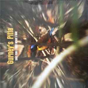 Henrik Håkansson - Gurney's Pitta (Songs From A Forest Without A Name) FLAC