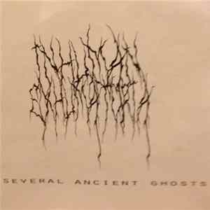 Inhuman Exhumatoria - Several Ancient Ghost FLAC