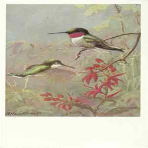 No Artist - Ruby-Throated Hummingbird FLAC