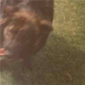listenlisten - Dog FLAC