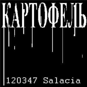 КАРТОФЕЛЬ - 120347 Salacia FLAC