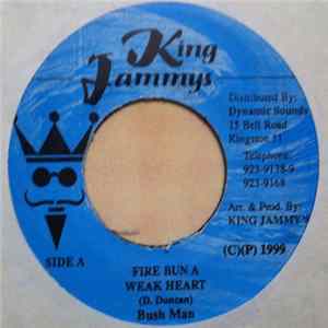 Bush Man - Fire Bun A Weak Heart FLAC