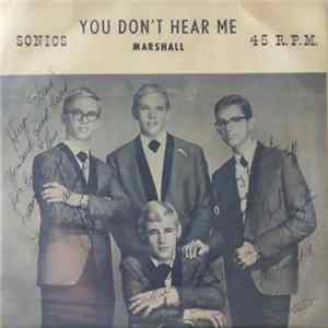 Sonics - You Don't Hear Me FLAC