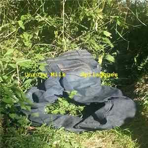 Unruly Milk - Spilaggges FLAC