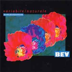 B.E.V. BonificaEmilianaVeneta - Variabile / Naturale FLAC