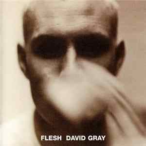 David Gray - Flesh FLAC