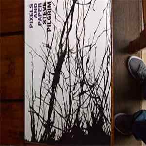Steve Pilgrim - Pixels And Paper FLAC