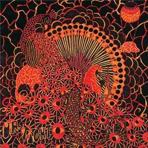 Up-Tight - The Night Is Yours FLAC